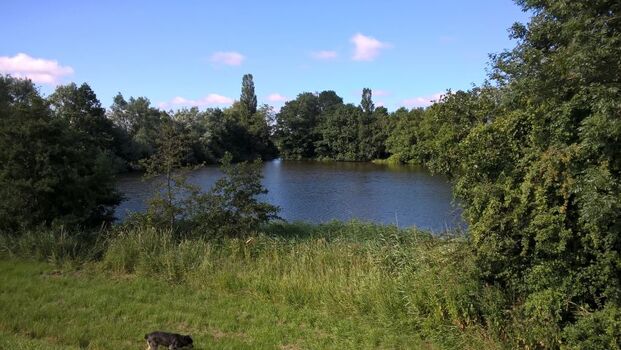 Idyllischer Rundgang am Brückensee