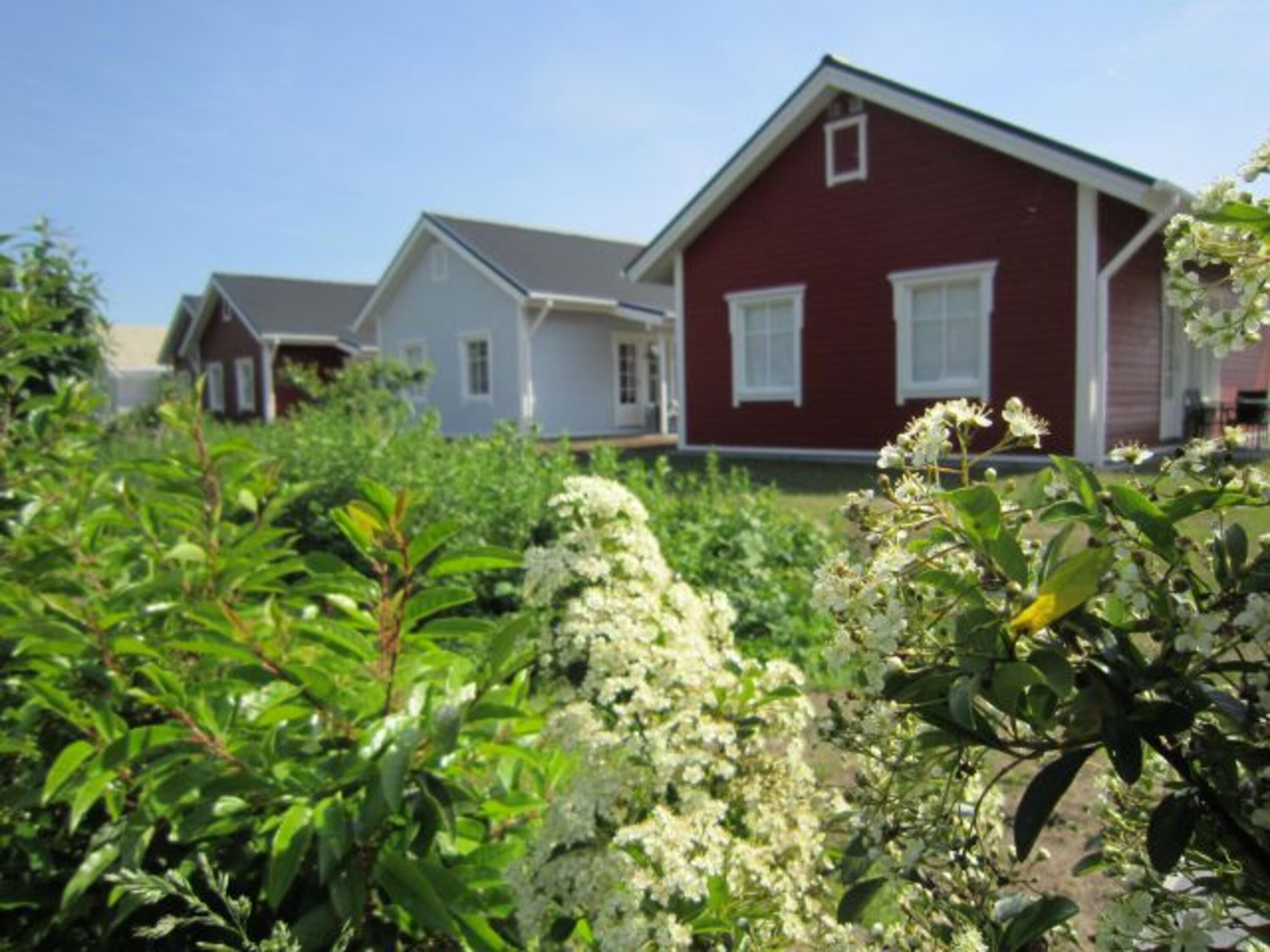 Ferienhaus Nordland