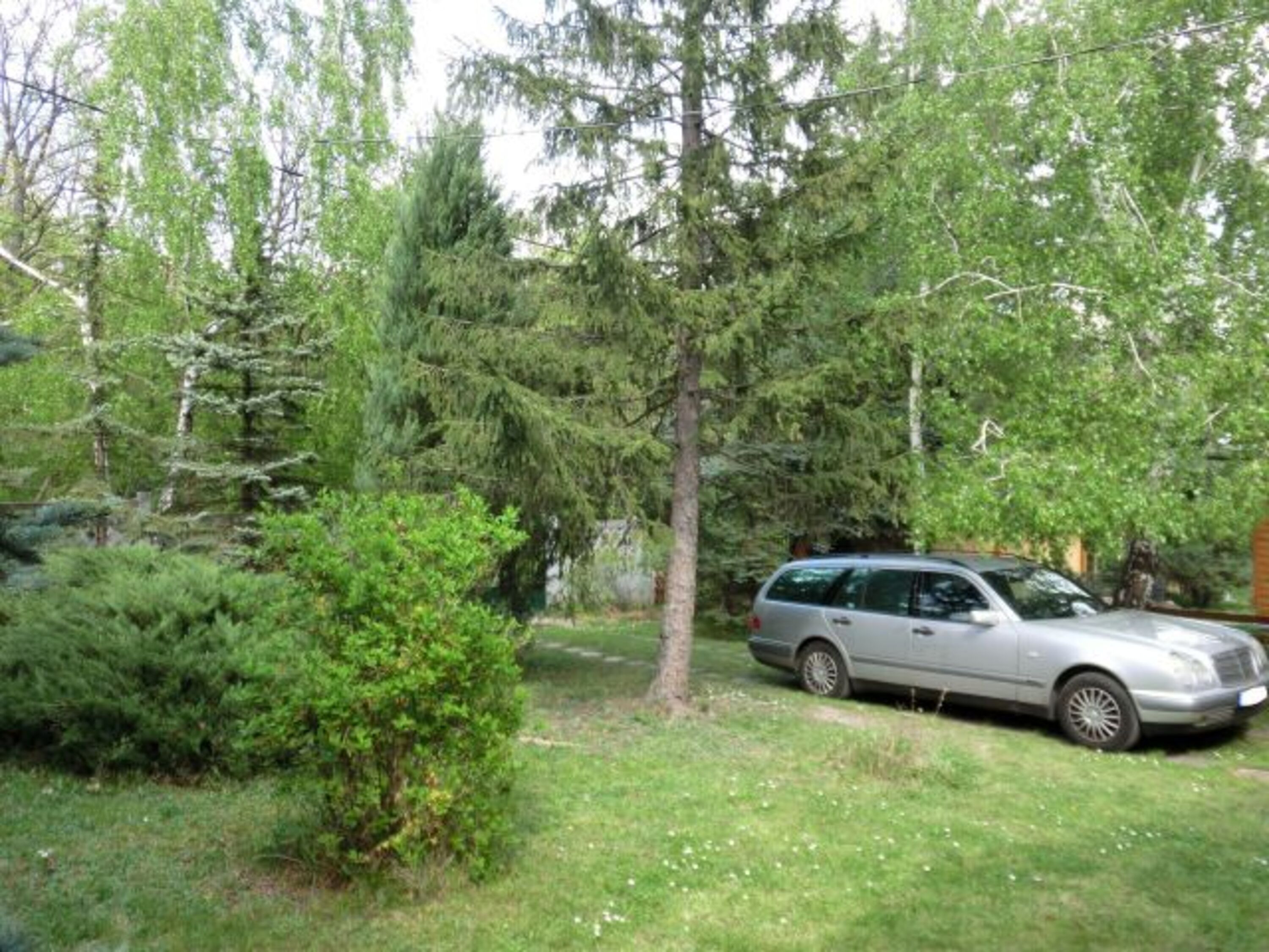 Parken im Vorgarten