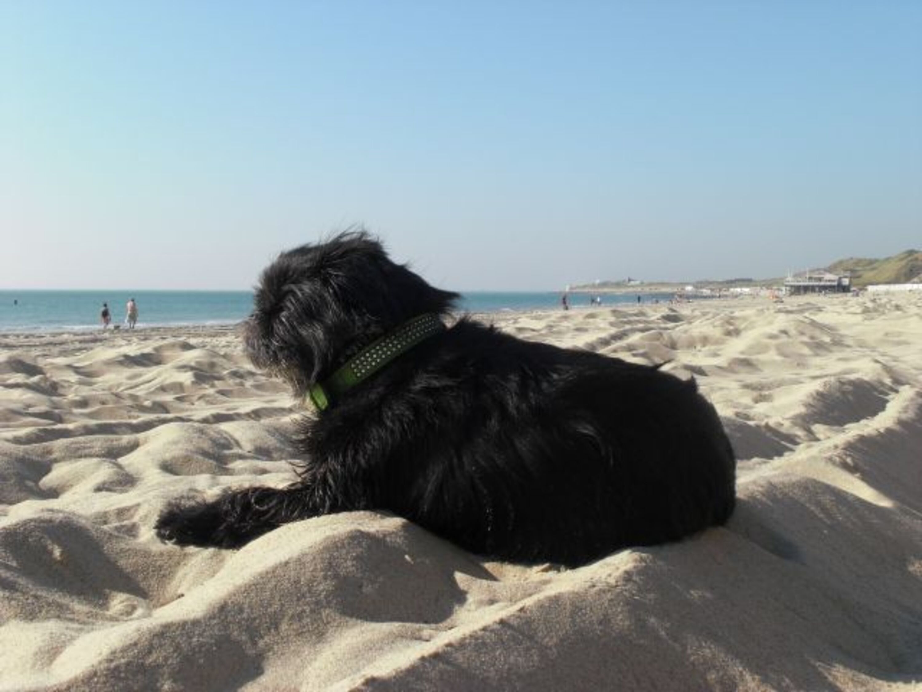 Bild 13