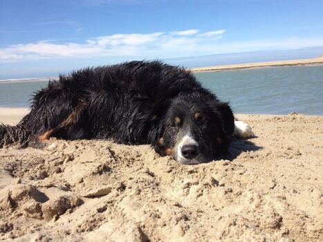 Am Strand und glücklich