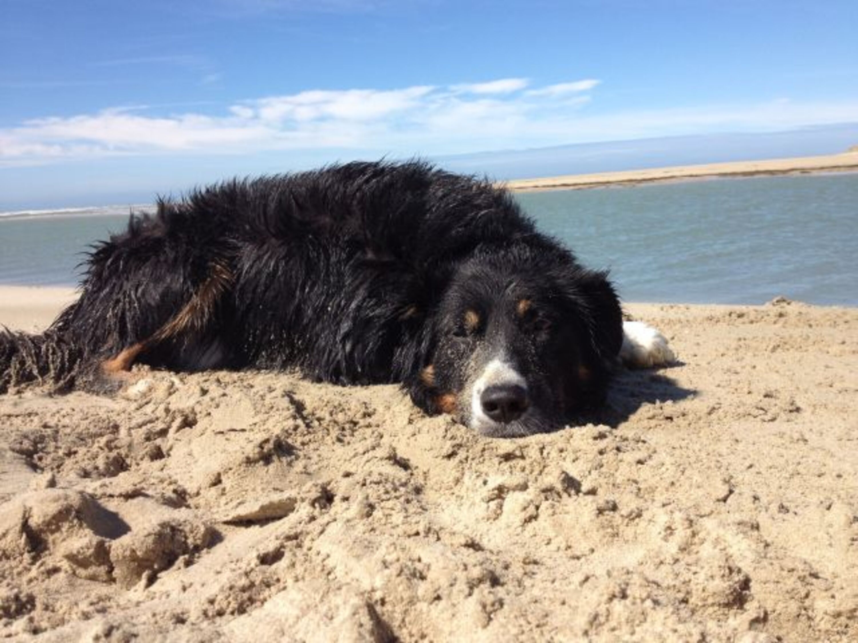 Am Strand und glücklich