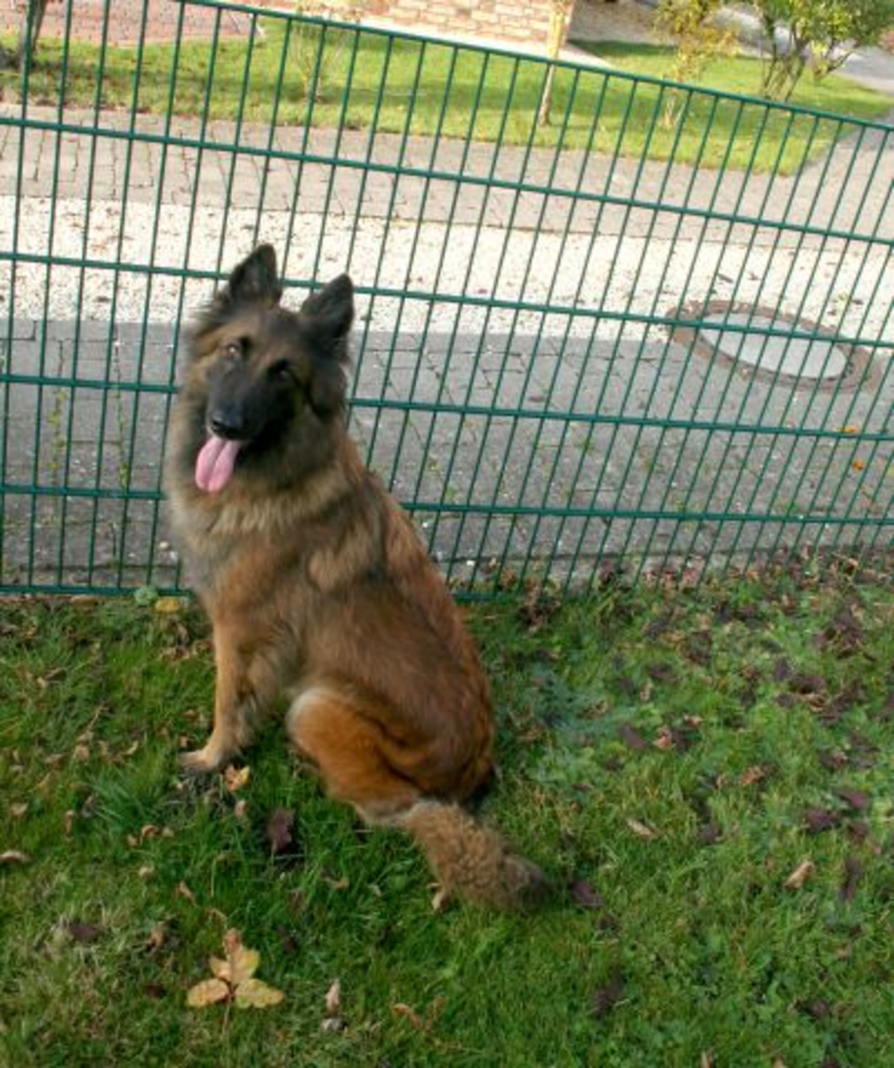 Bild 8