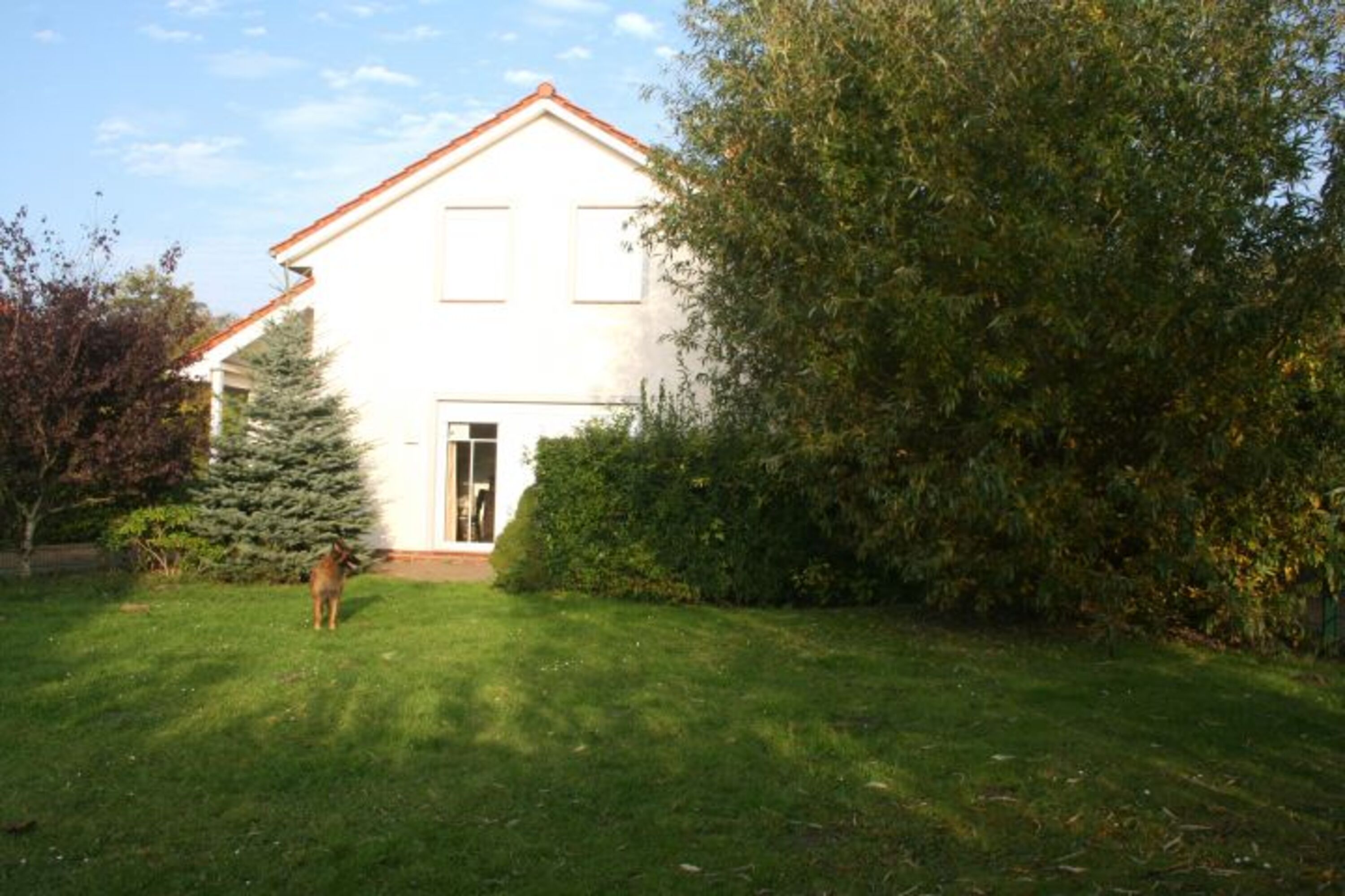 Bild 7