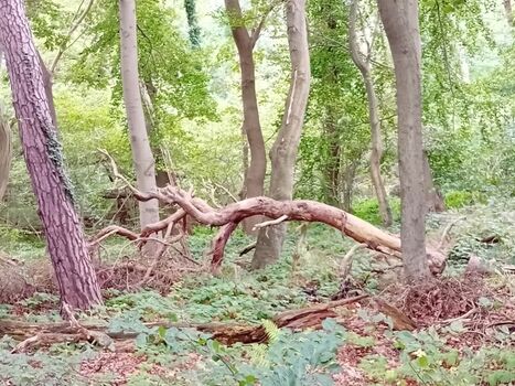 2 Minuten Fußweg und Sie sind bereits mitten im Nationalpark