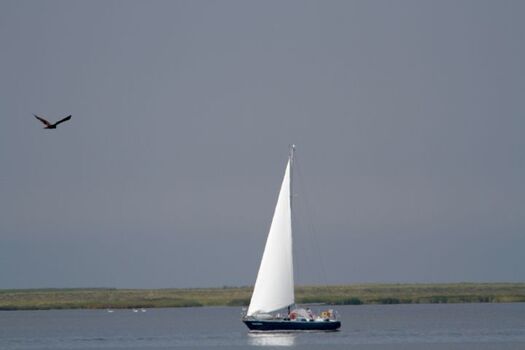 Der Bodden bei Kinnbackenhagen