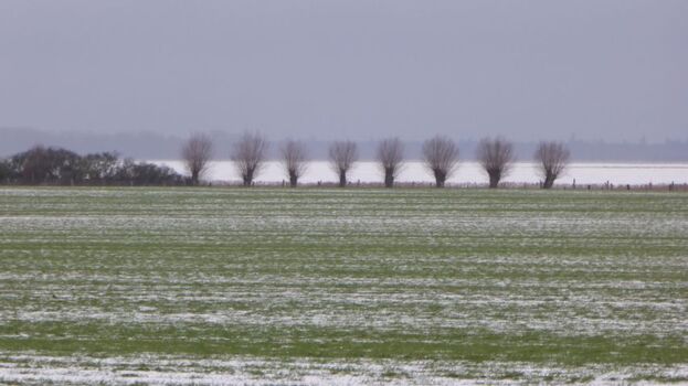 Novemberstimmung in Kinnbackenhagen 