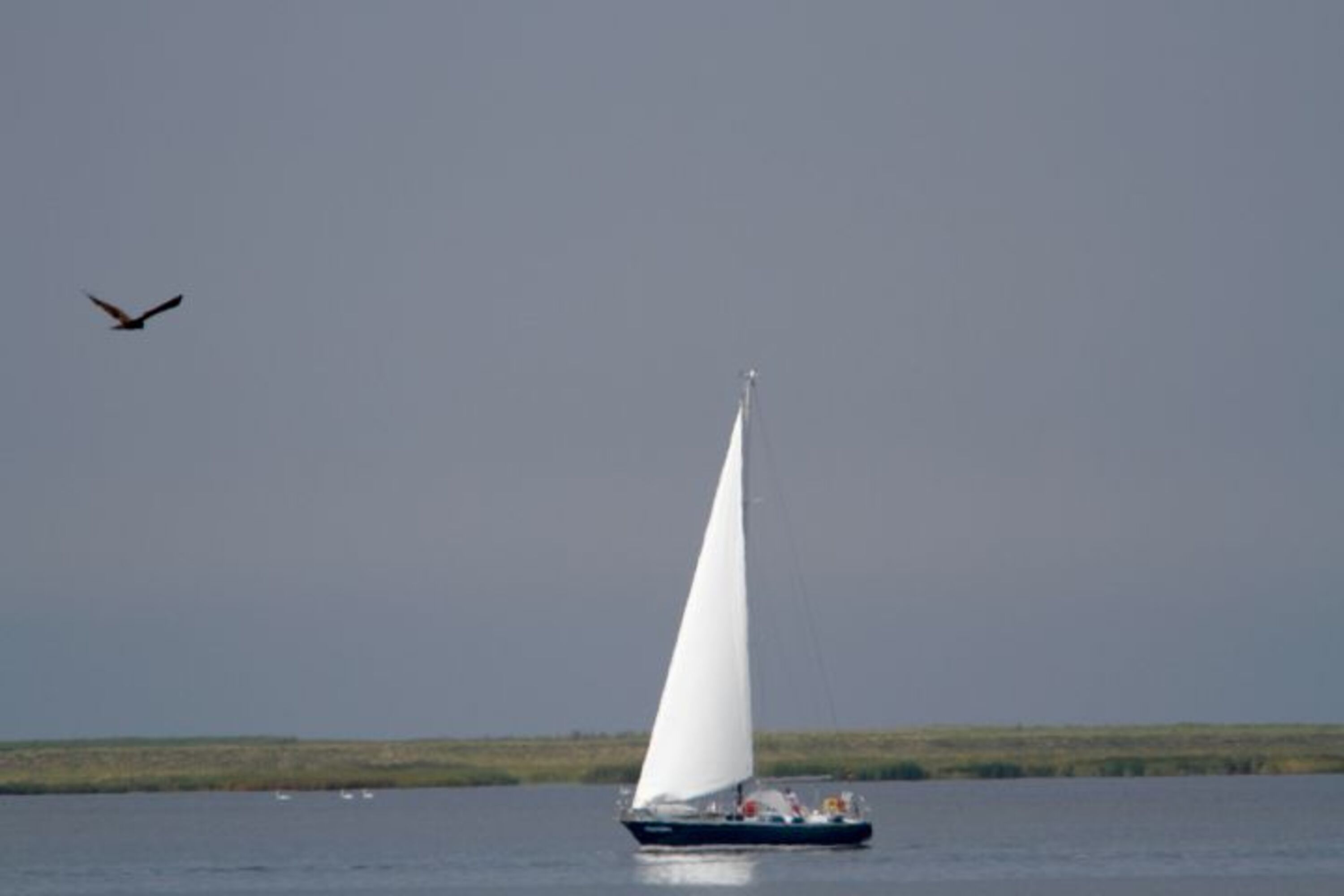 Der Bodden bei Kinnbackenhagen