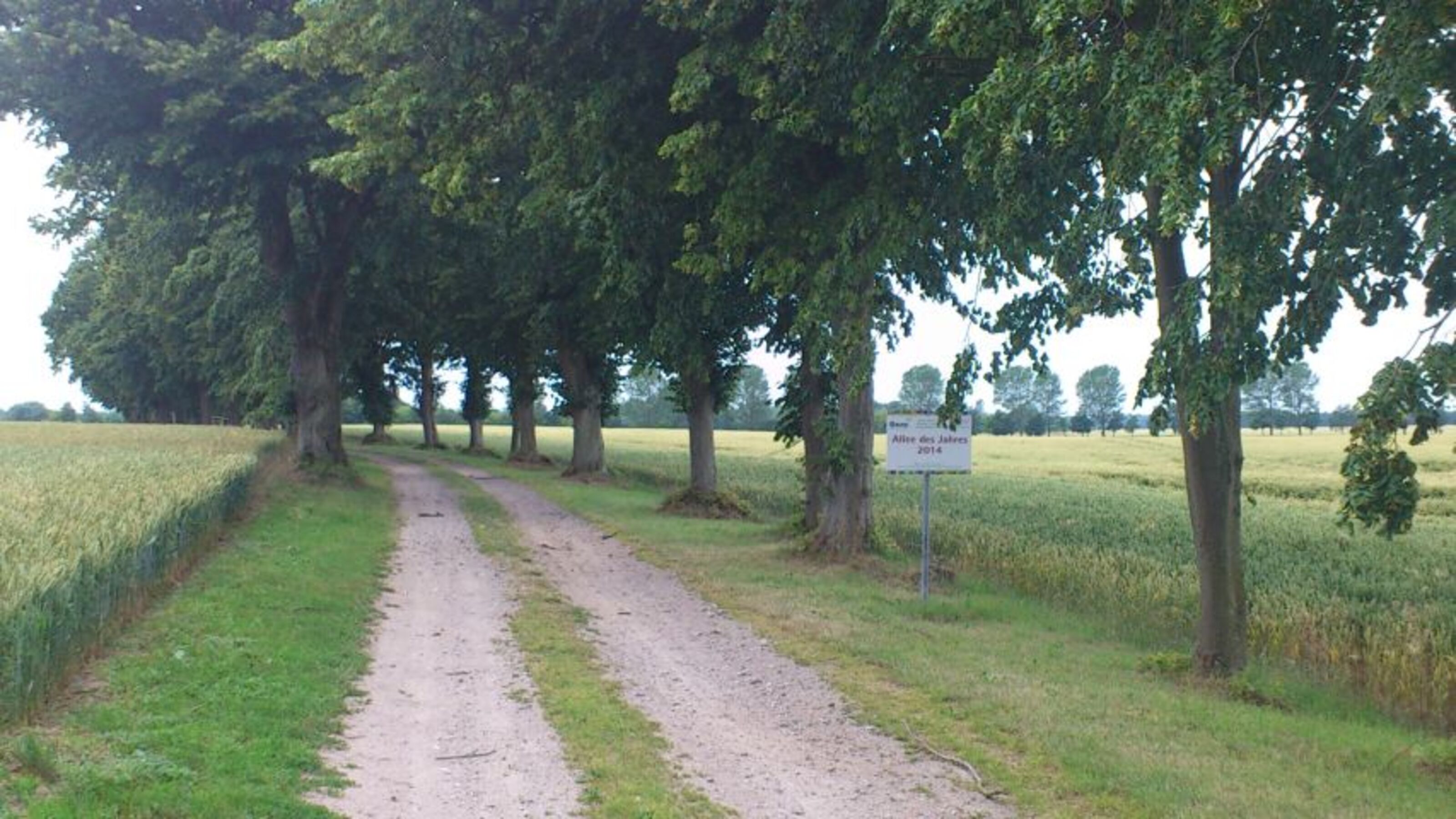 Allee unweit des Ferienhauses