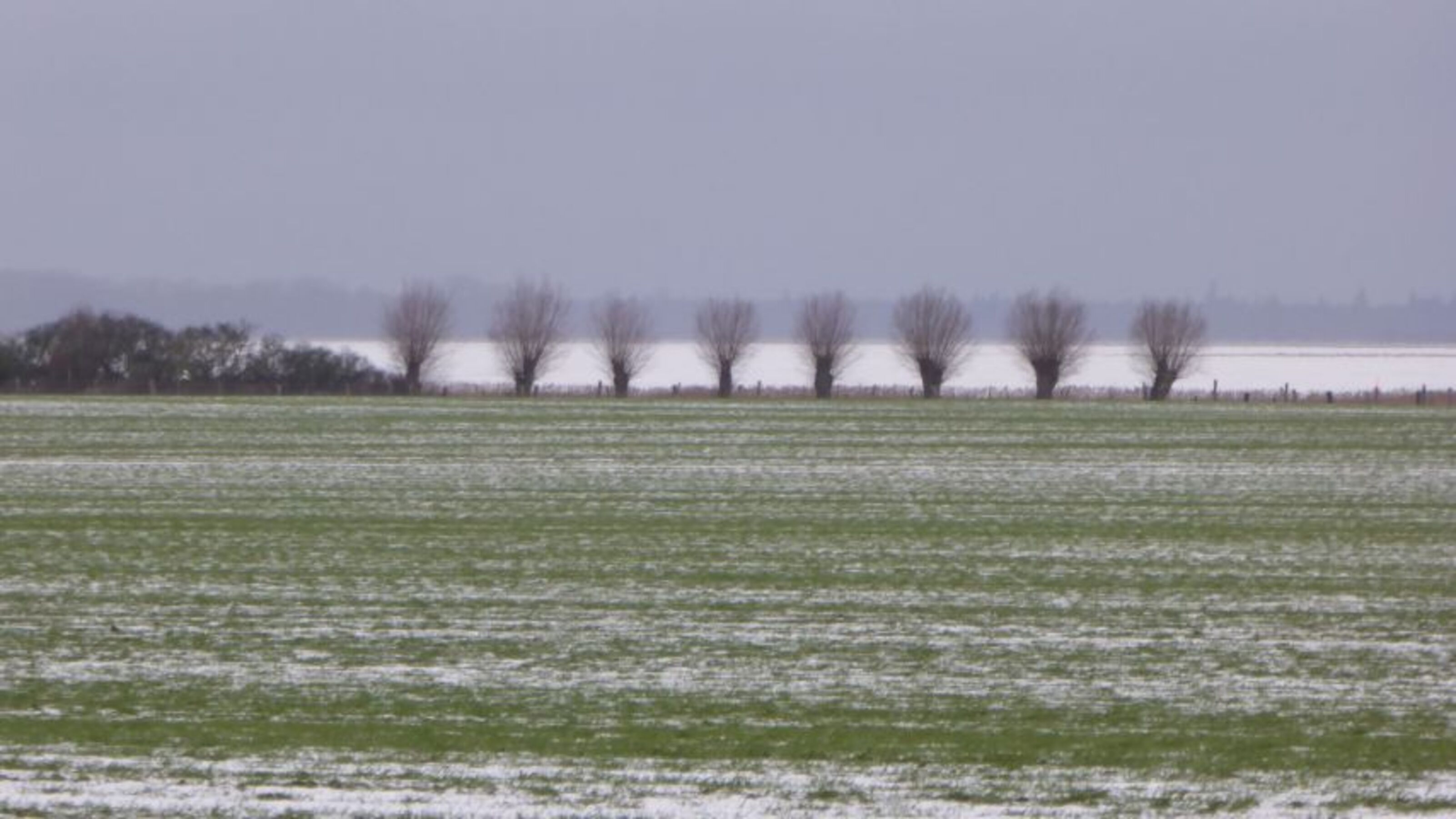Novemberstimmung in Kinnbackenhagen