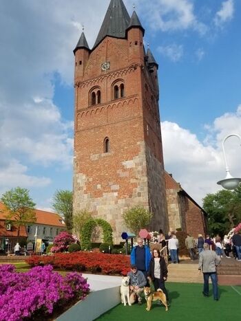 Rhododendronstadt Westerstede