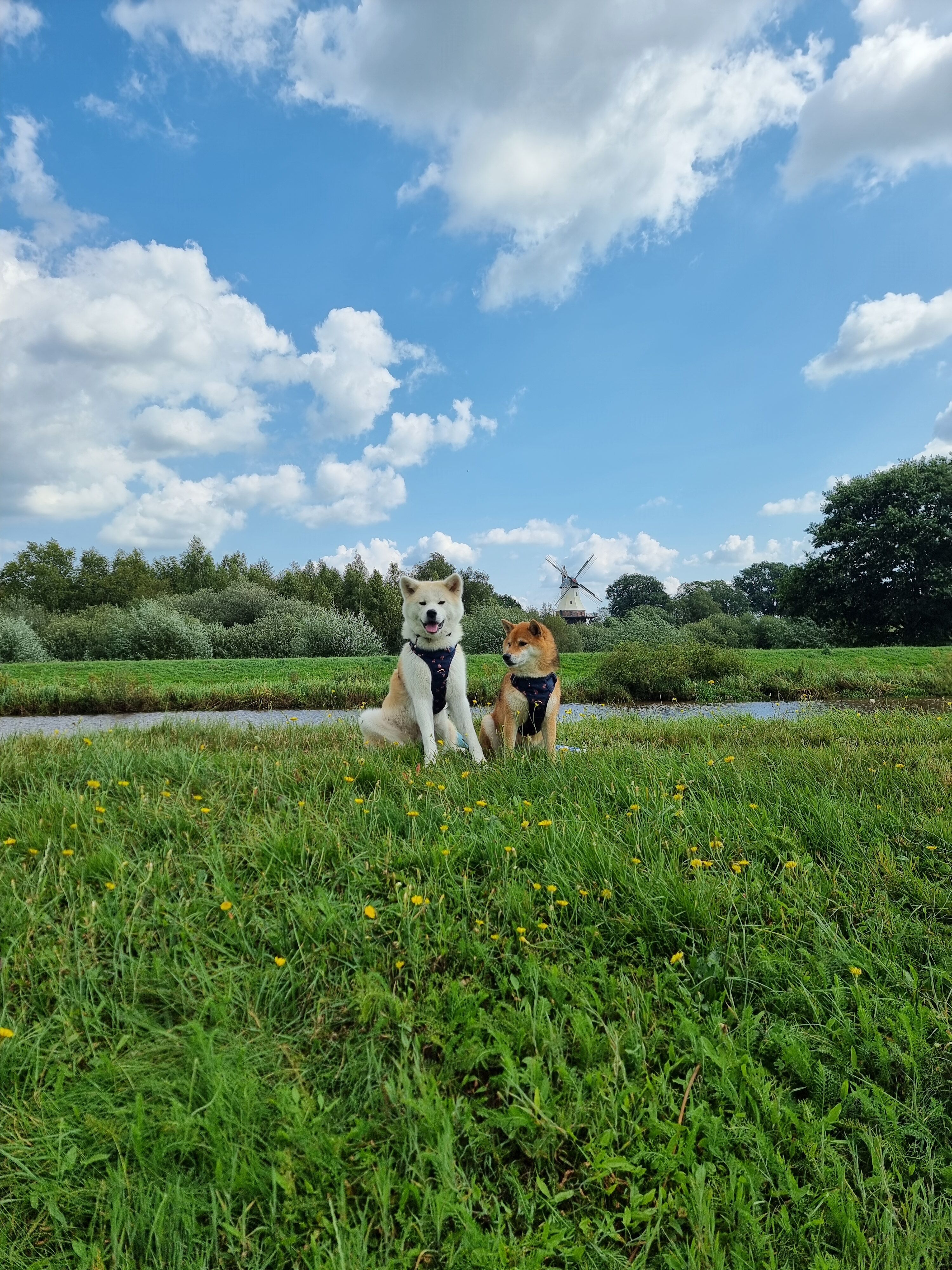 Hunde herzlich willkommen