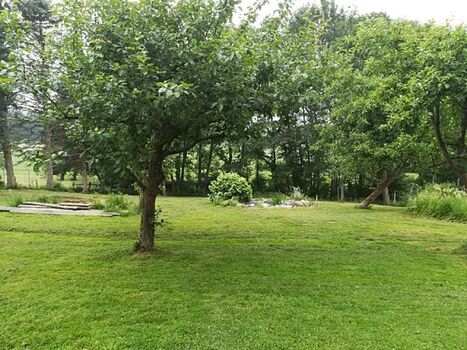 Die frühere Pferdeweide