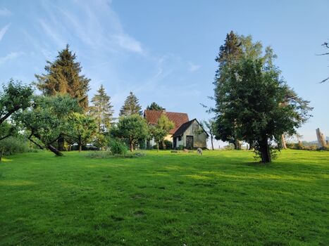 Das große Grundstück, im Hintergrund Stall und Haus