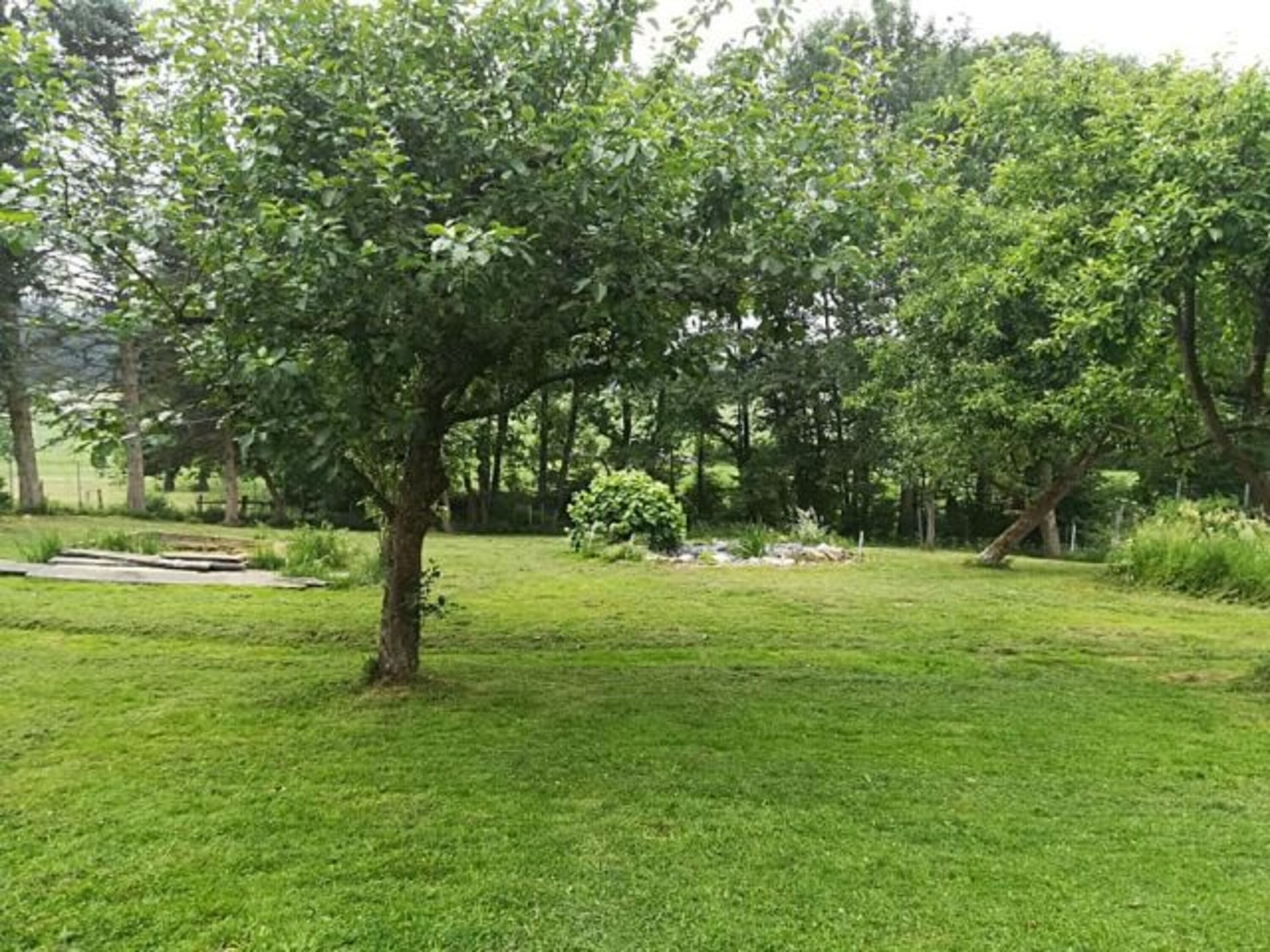 Die frühere Pferdeweide