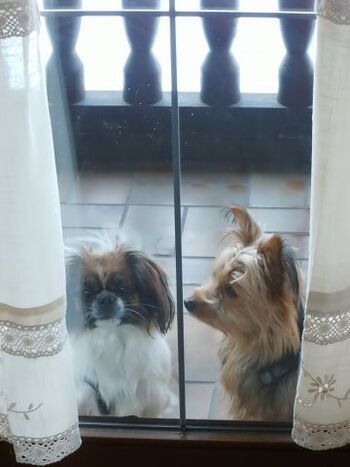 Wir müssen nicht draußen bleiben -groß oder klein,wir sind willkommen !