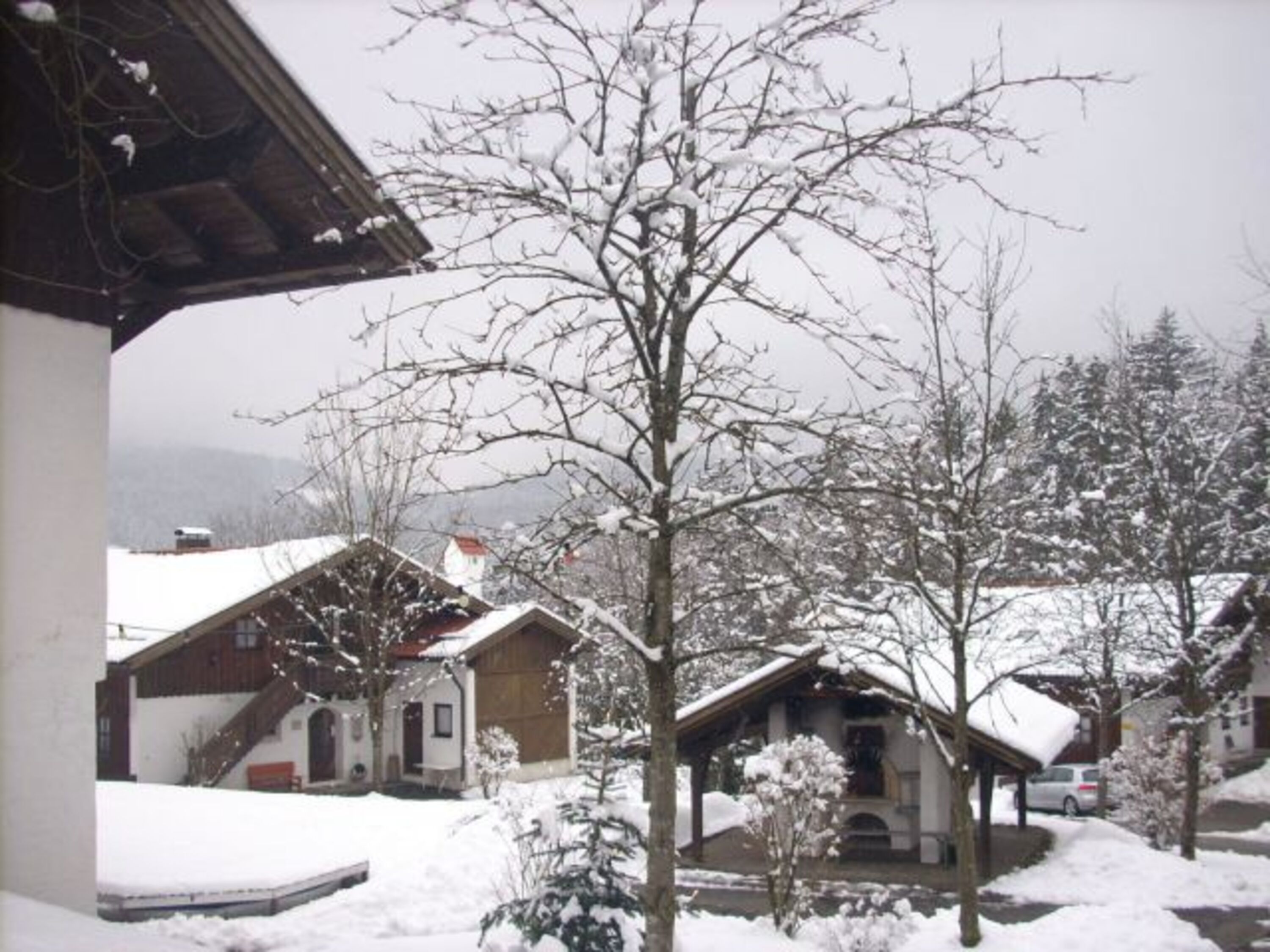Winter im Dörfle