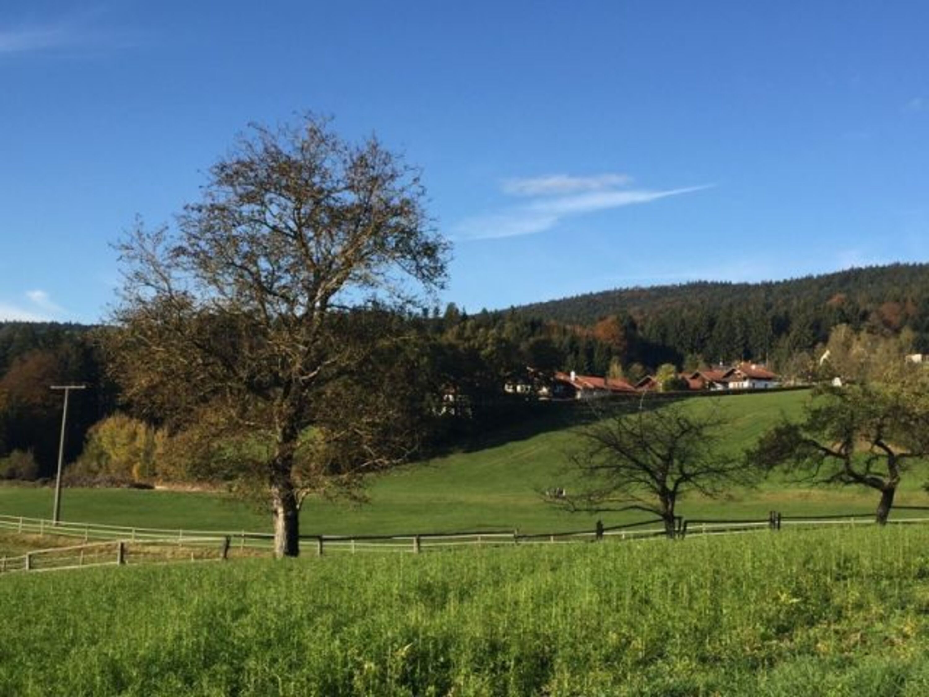 Idyllische Lage am Waldrand,Gassiwege