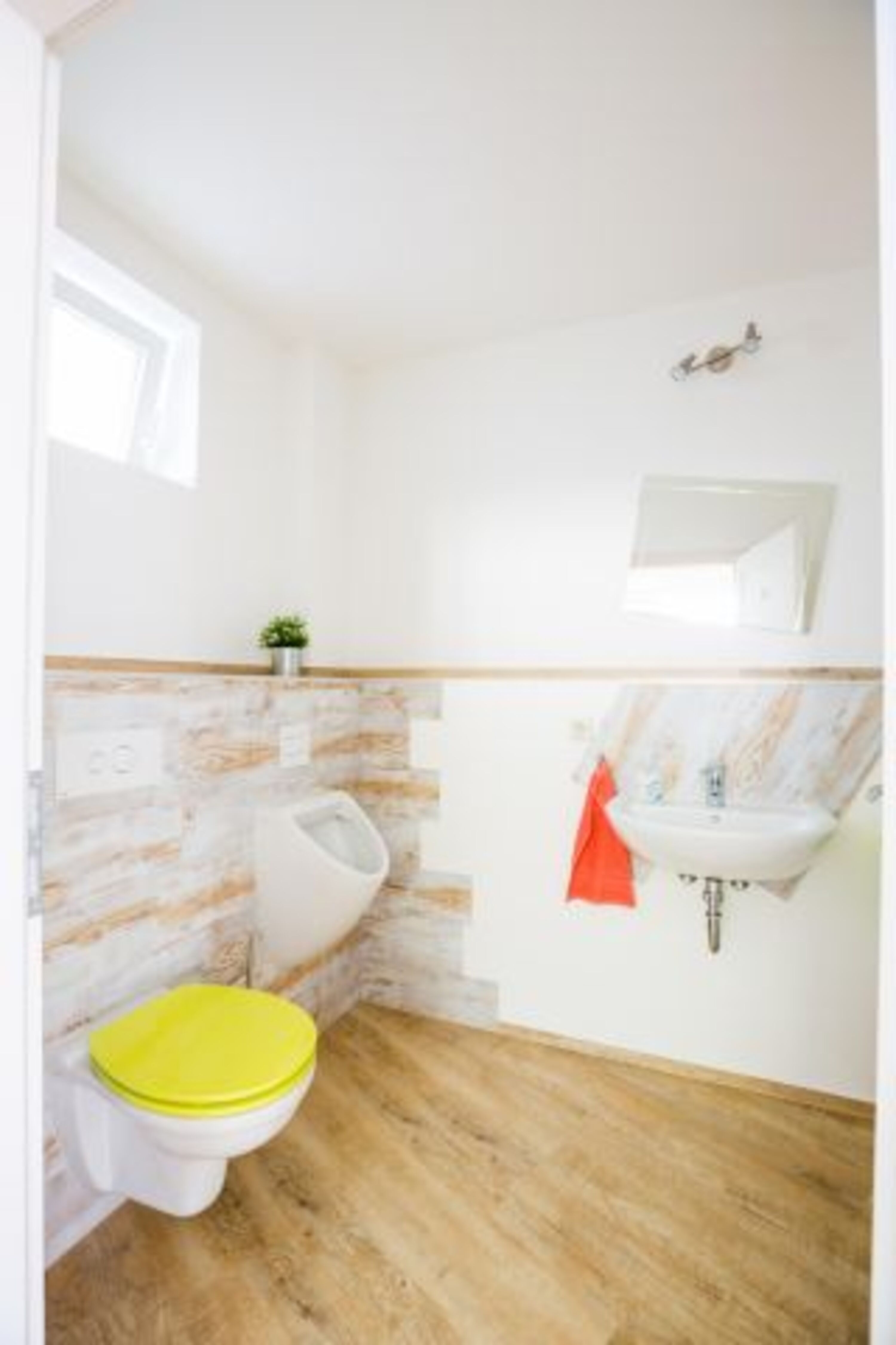 separates WC