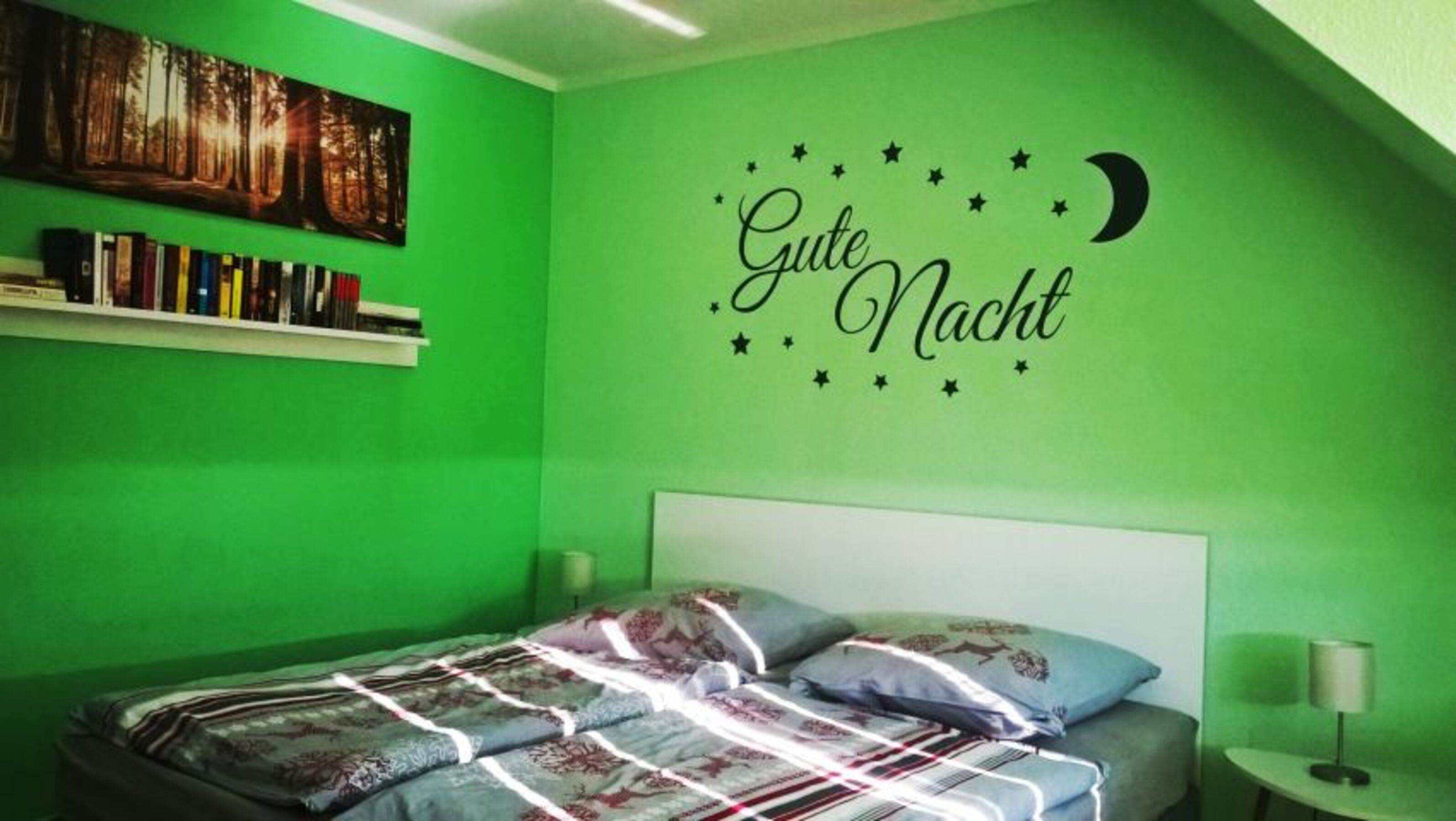 Bild 12