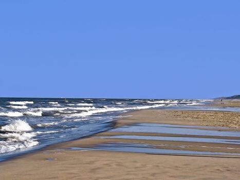Ein herrlicher Sandstrand, das Paradies für Hunde