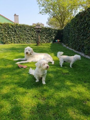 unsere Gäste im Garten