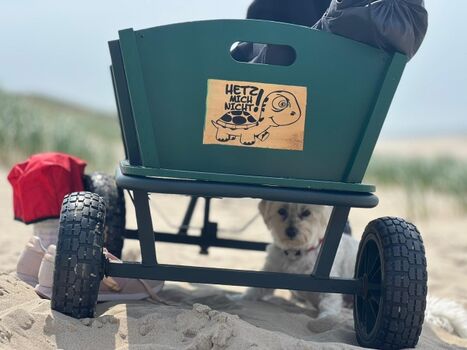 Strandausflug mit Bollerwagen