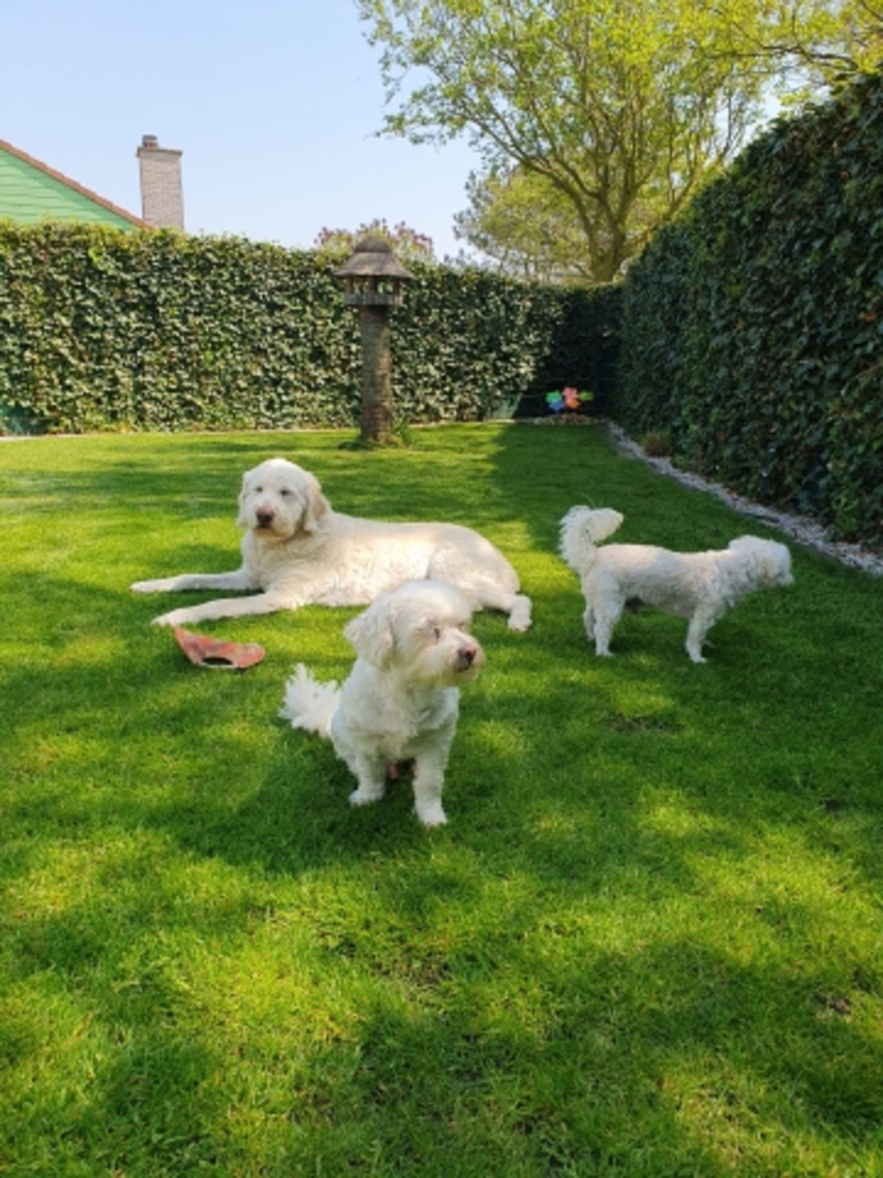 unsere Gäste im Garten