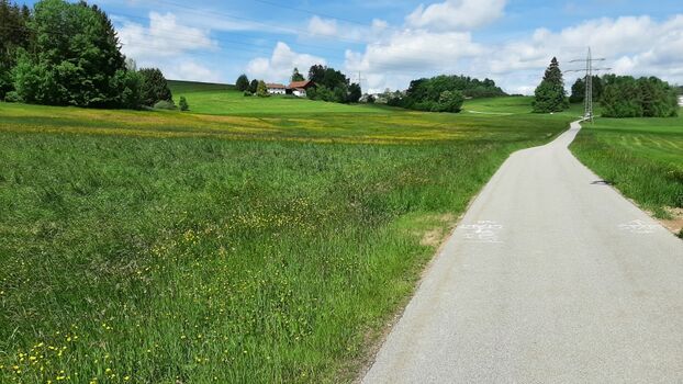 Wiesen und Felder ganz nah - hier ca. 300 m ab Ferienhaus. Im Hintergrund Kellerbergwald