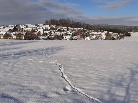 Winterlandschaft mit Blick zum Feriengebiet