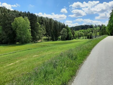 Direkte Umgebung Ferienhaus. Hier ca. 400 m Fußweg entfernt