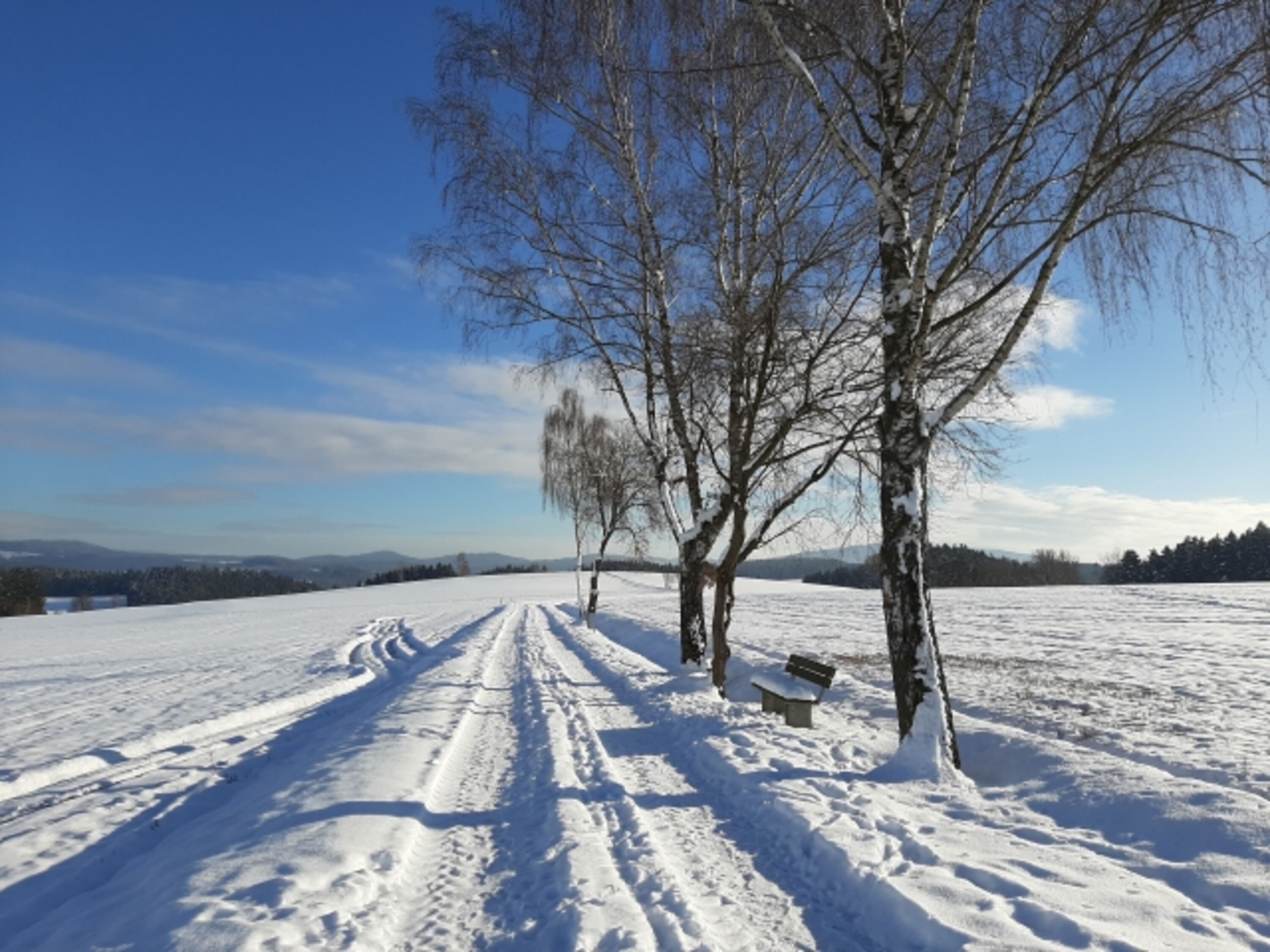 Wanderung ca. 200m vom Ferienhaus entfernt