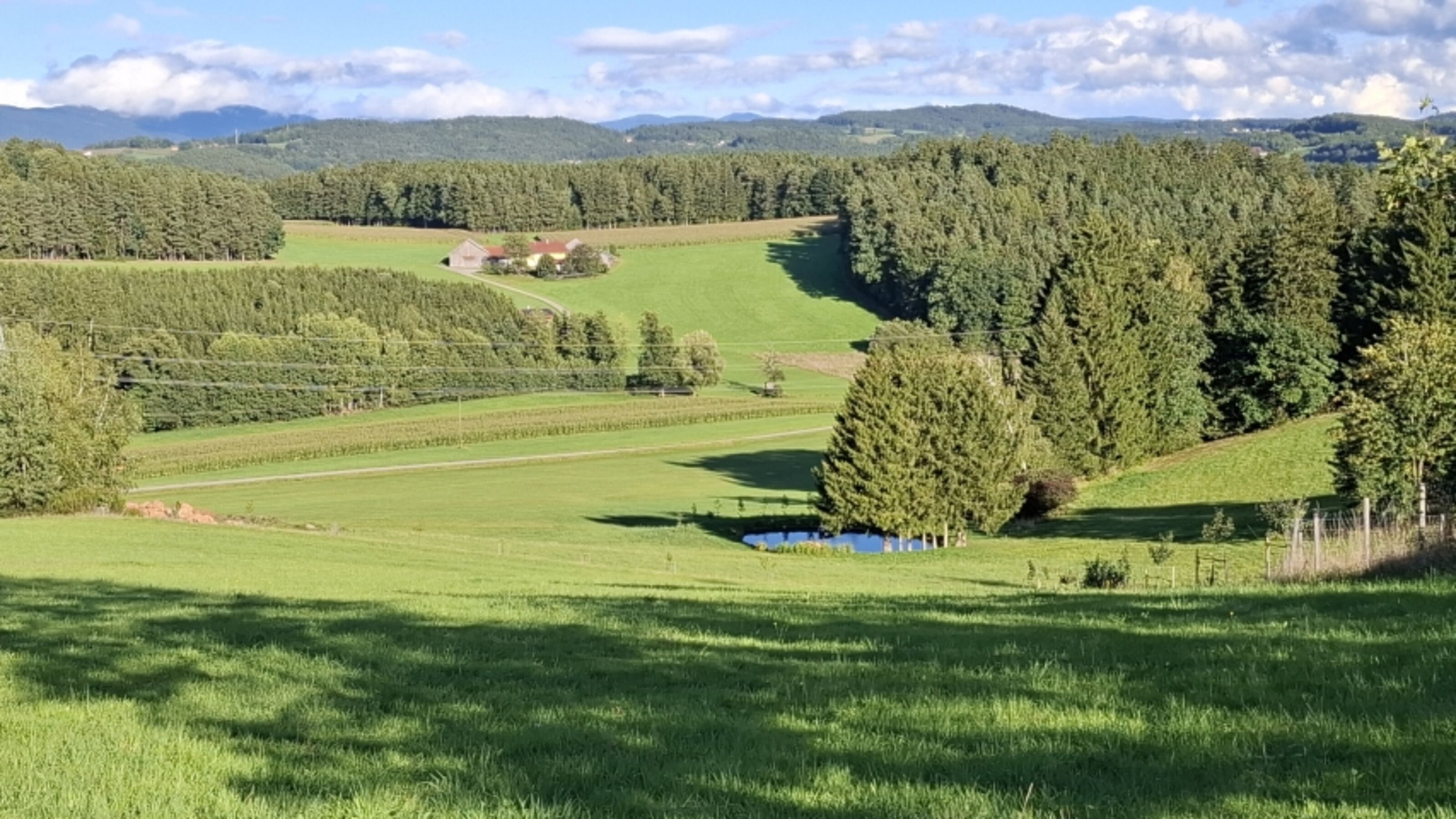 Ausblick ca. 250 m entfernt