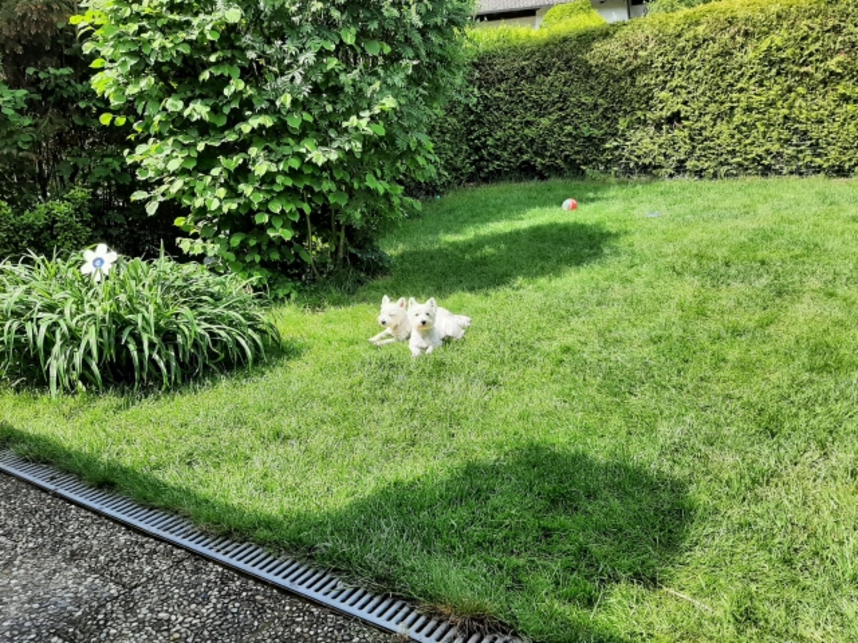 Bild 8