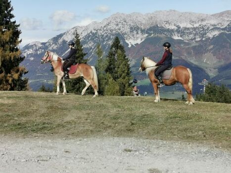 Hoch zu Ross die Bergwelt erkunden