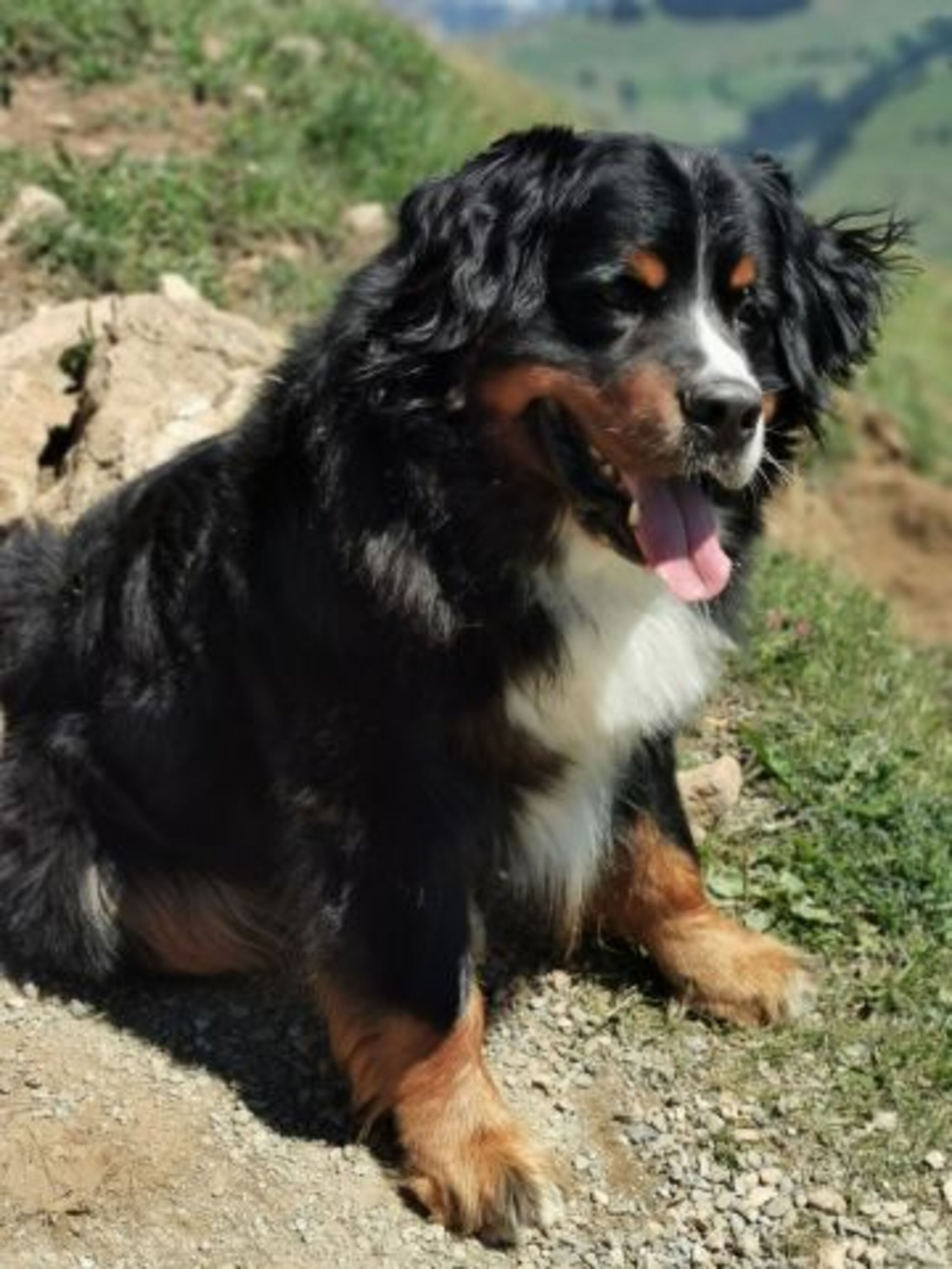 Unser Seppi