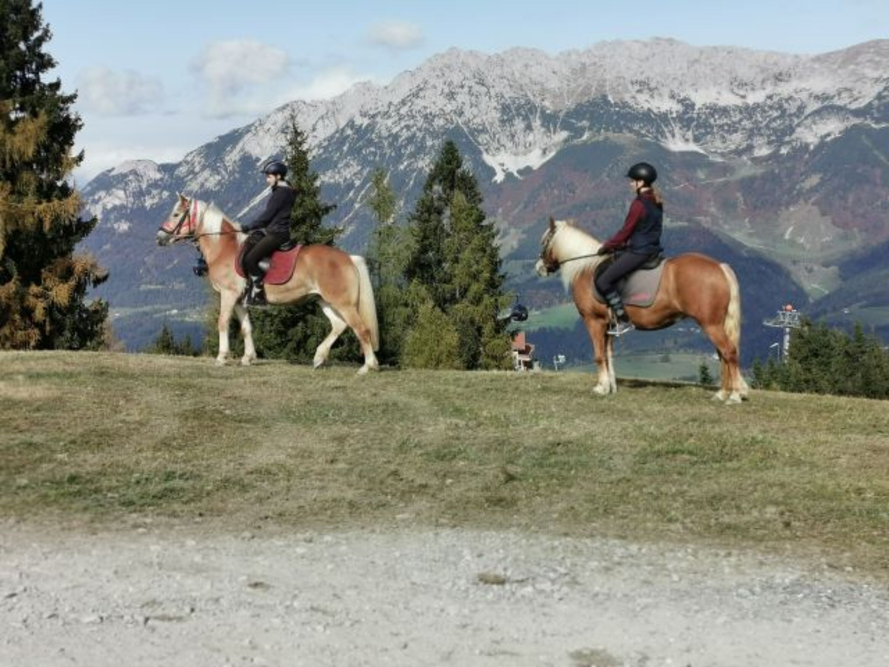 Hoch zu Ross die Bergwelt erkunden