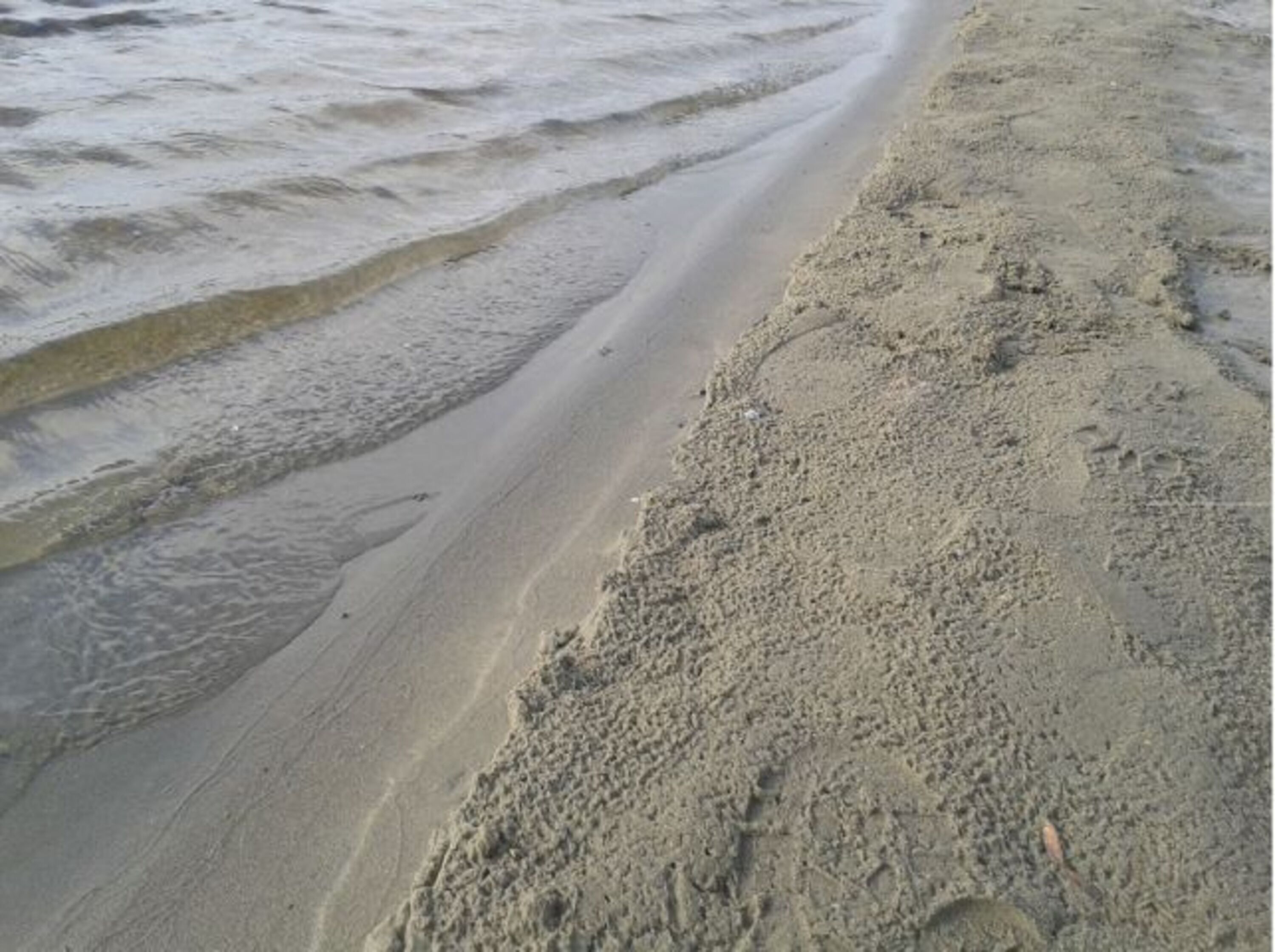 Am Strand links vom Jachthafen von Bruinisse