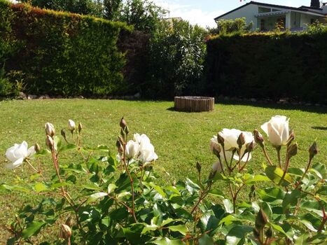 Bild vom privaten Garten