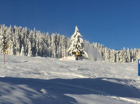 Winter November 2017