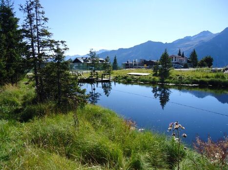 kleiner Badeteich, auch für Hunde