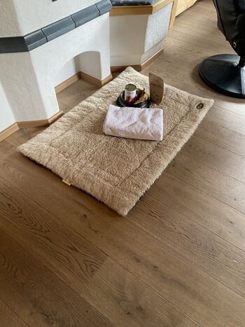 Für unsere Fellnasen-Gäste