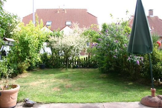 eingewachsener Garten