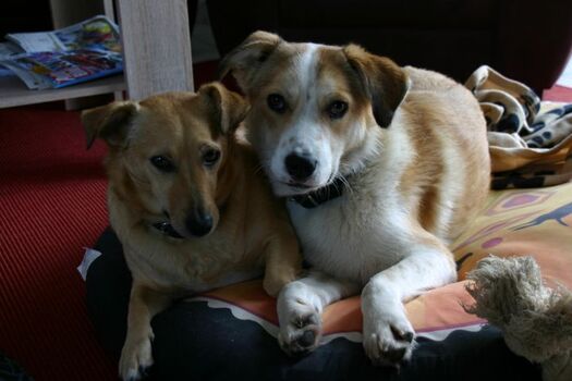 Entspannung nach einem anstrengenden Tag