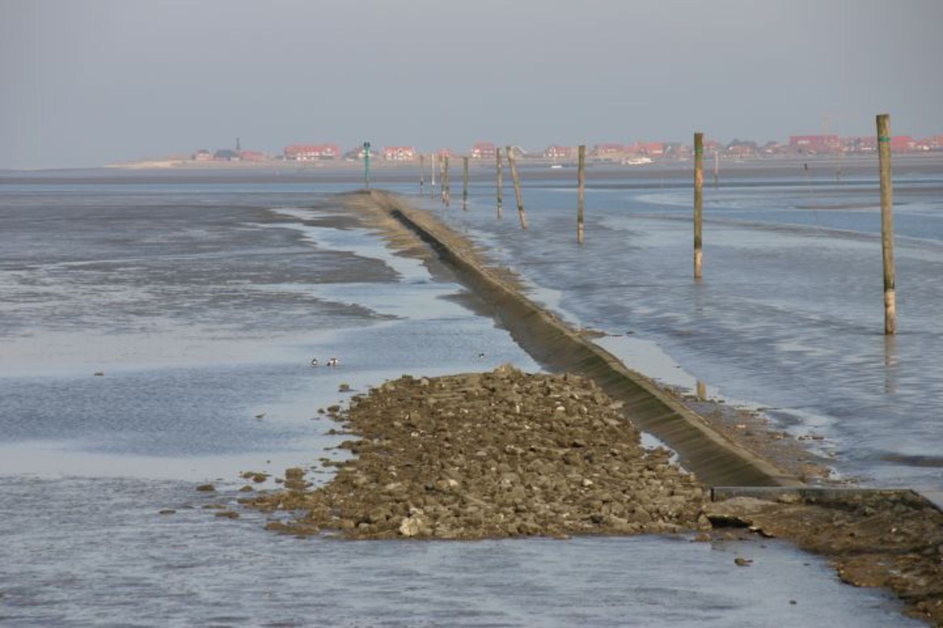 Blick auf Baltrum