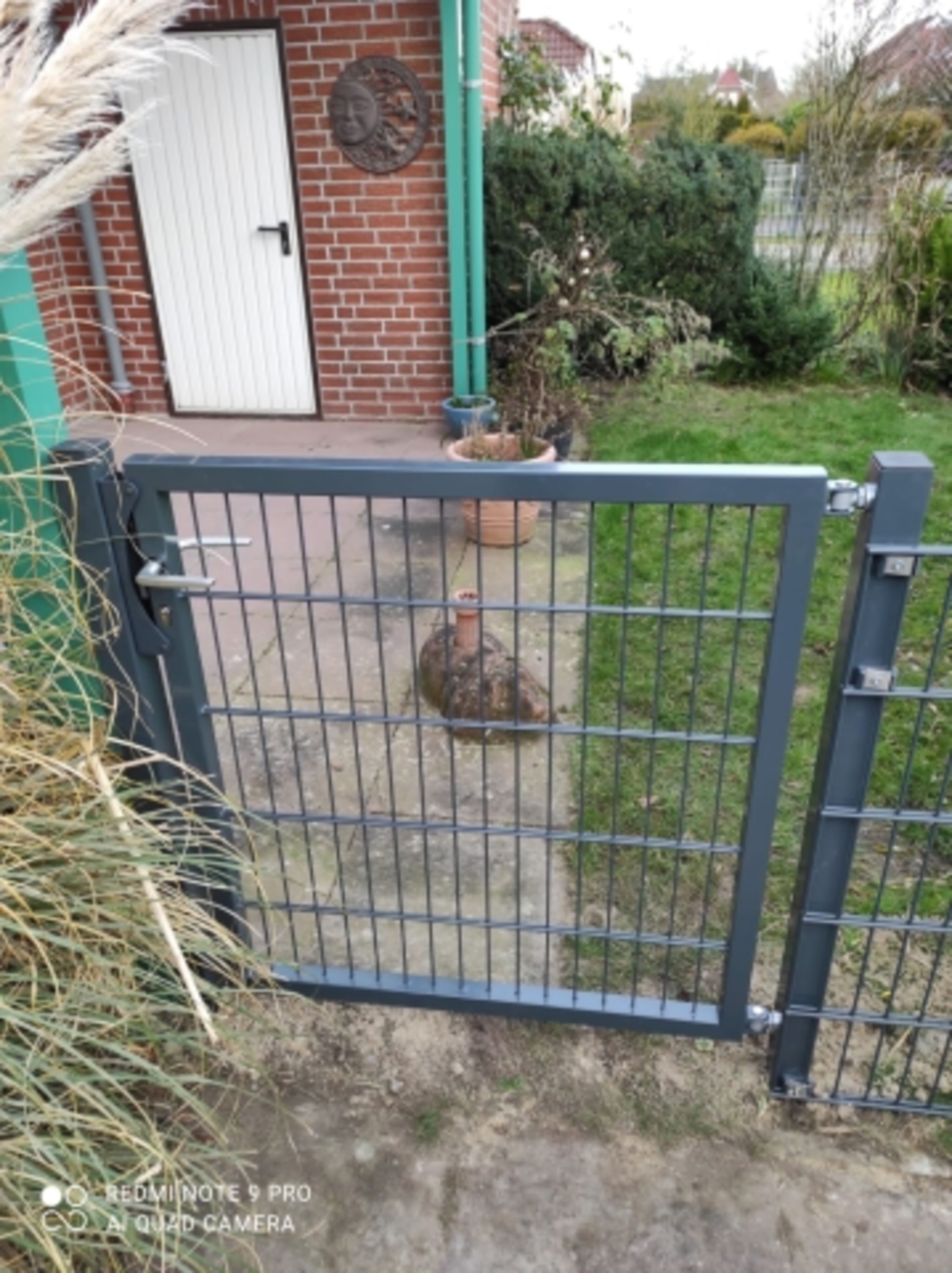 neu:Hundesicher eingezäunt