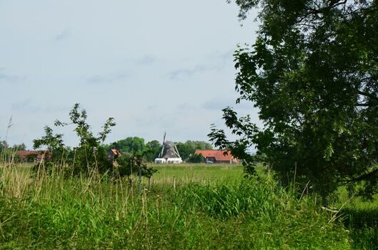 Blick auf die Berdumer Mühle