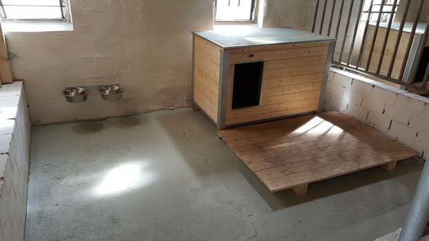 3 Zwinger KÖNNEN genutzt werden