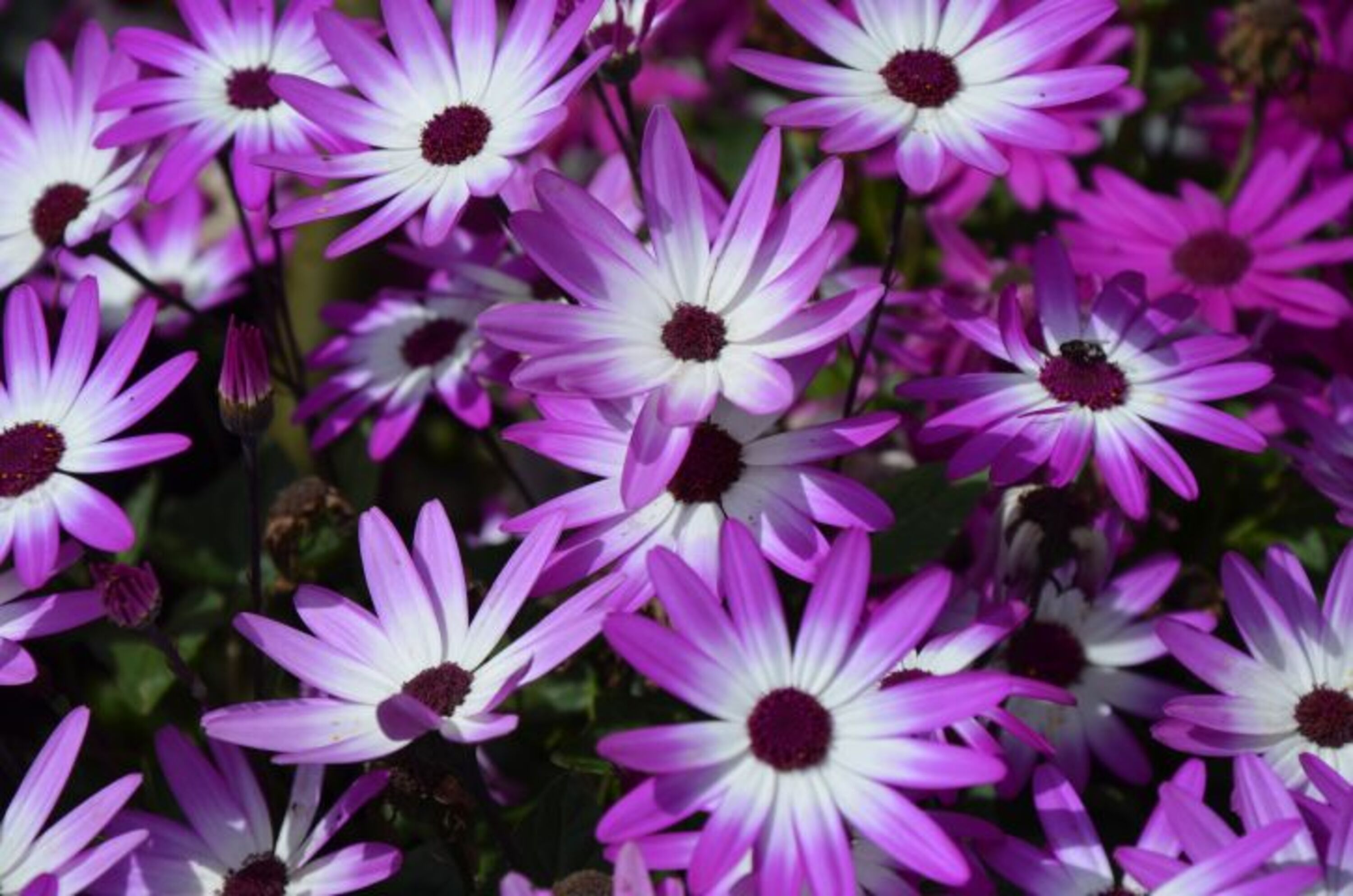 Bild 20
