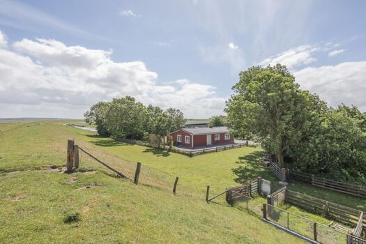 Altes Schäferhaus - Idyllische Lage direkt am Deich 